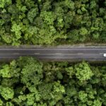 average settlement for pedestrian hit by car
