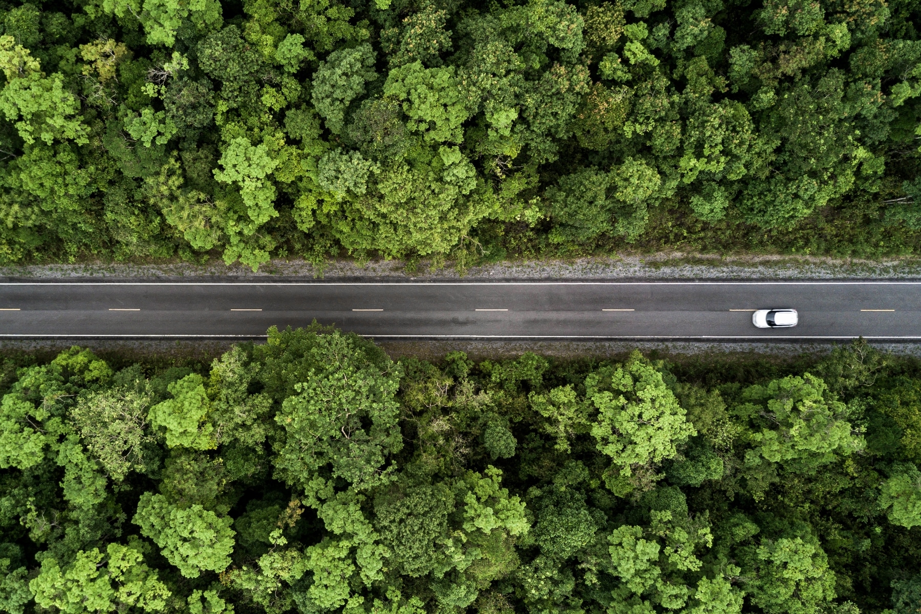 average settlement for pedestrian hit by car